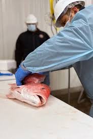 Congressional Seafood - Wholesale Seafood Supplier by null