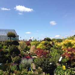 Triple Tree Nurseryland & Florist
