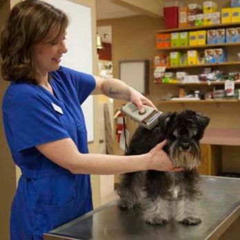 Heritage Animal Hospital of Plymouth & Maple Grove - Everyone just needs a spa day once in a while, and our pets are no exception. Our professional groomers are experts in trimmi... - Veterinarians Near Me - Maple Grove, Minnesota Heritage Animal Hospital of Plymouth & Maple Grove - Everyone just needs a spa day once in a while, and our pets are no exception. Our professional groomers are experts in trimmi... - Veterinarians Near Me - Maple Grove, Minnesota