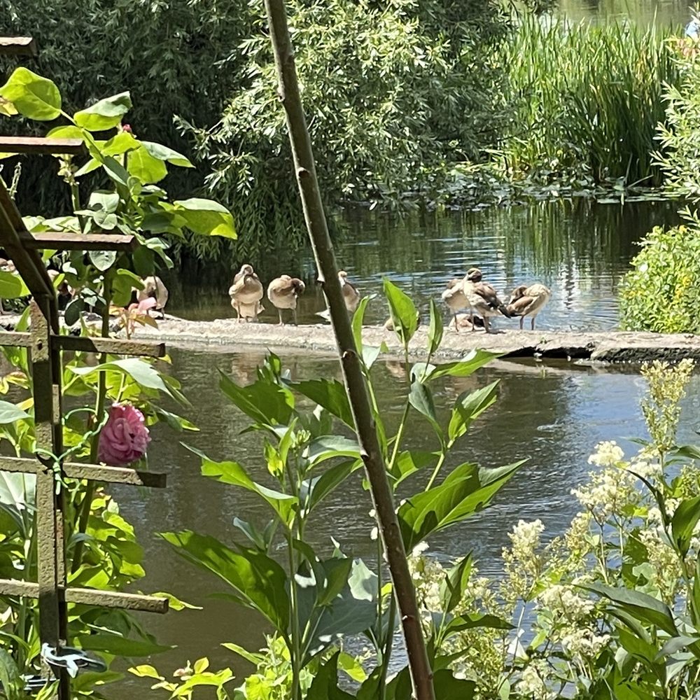 Lahn-Café am Rosengärtchen - Cafes Near Me - Wetzlar, HE Lahn-Café am Rosengärtchen - Cafes Near Me - Wetzlar, HE