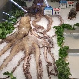 Octopus at Winco Octopus at Winco