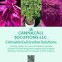 Photo of CannaCall Solutions