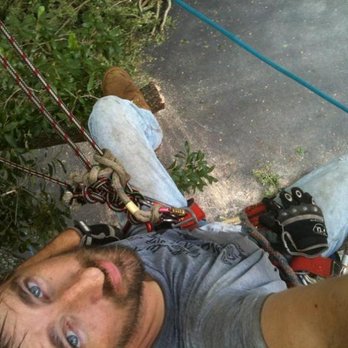 Karney Tree Service - Tree Services Near Me - Winter Garden, Florida Karney Tree Service - Tree Services Near Me - Winter Garden, Florida