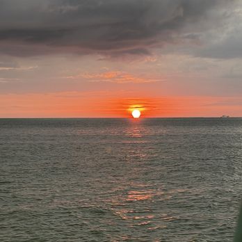 St. Pete Coastal Cruises - Boat Tours Near Me - South Pasadena, Florida St. Pete Coastal Cruises - Boat Tours Near Me - South Pasadena, Florida