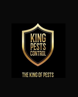 King Pests Control on Yelp