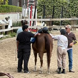 Shadow Hills Riding Club - Therapeutic lessons  10/10