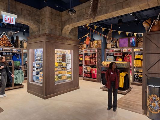 Harry Potter Shop Chicago by null