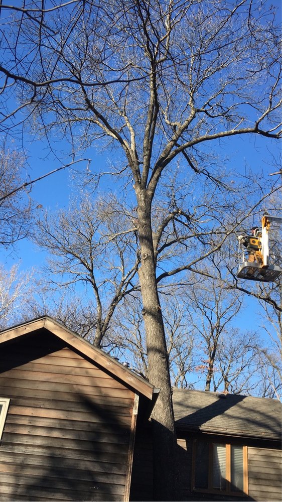 Superior Tree and Stump - tree service in Topeka, KS