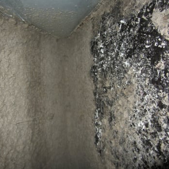 Divinity Inspection Service - HVAC coils was clogged cause improper filter was used. - Home Inspectors Near Me - Tampa, Florida Divinity Inspection Service - HVAC coils was clogged cause improper filter was used. - Home Inspectors Near Me - Tampa, Florida