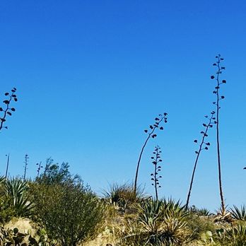 Siphon Draw Trail inc. Flatiron, Superstition Mountain - Hiking Near Me - Apache Junction, Arizona