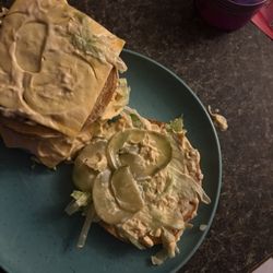 McDonald's - Supposed to be a big Mac with extra Mac sauce extra onions, extra cheese couldn't even pick it up because it was so