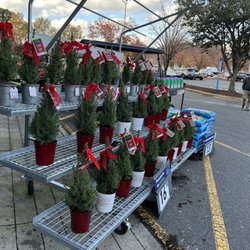 Lowe's Home Improvement
