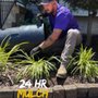 Photo of Urban Turf
