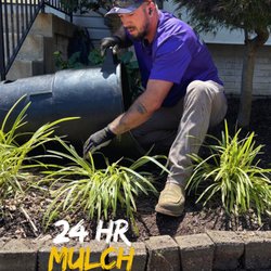 Urban Turf