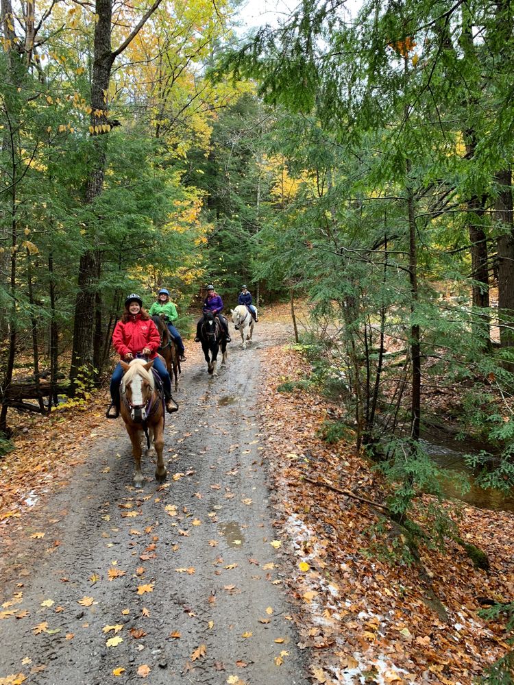 Carousel Horse Farm - equestrian in Casco, ME