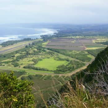 Kealia Trail - Great view! - Hiking Near Me Kealia Trail - Great view! - Hiking Near Me