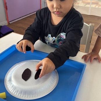 Prodigy Montessori - Cypress - My 3y/o pasting a petal. - Preschools Near Me - Cypress, California