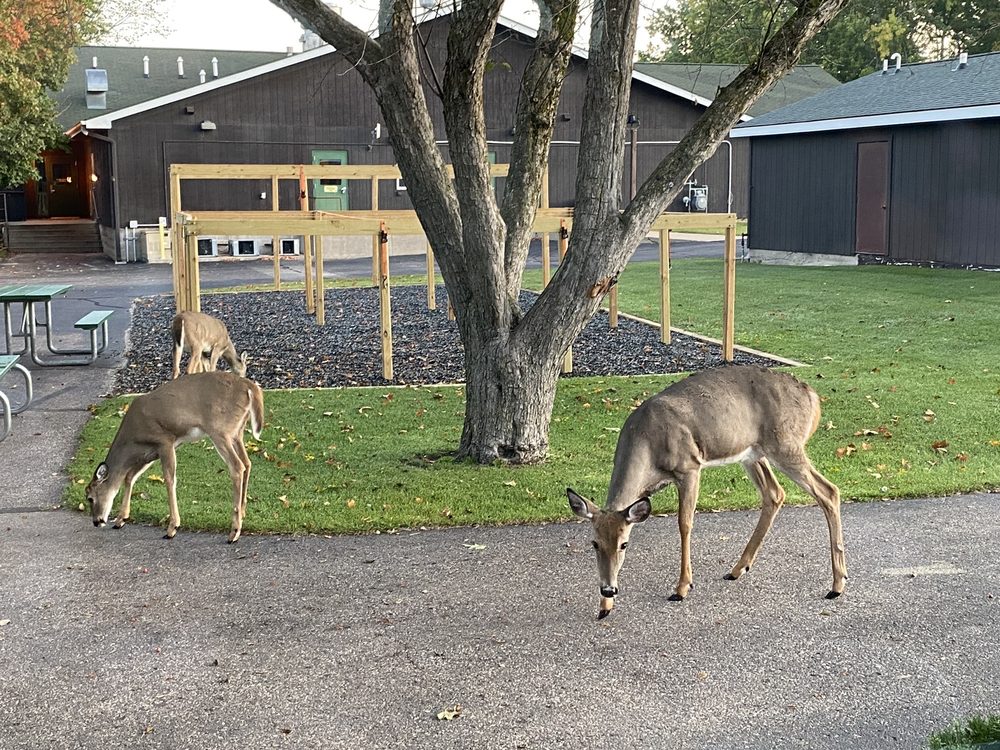 WISCONSIN LIONS CAMP 3834 County Road A, Rosholt, Wisconsin, United States Summer Camps