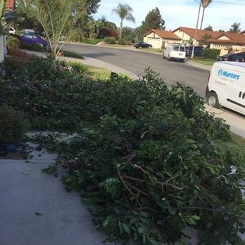 JunkMove - Junk Removal & Hauling Near Me JunkMove - Junk Removal & Hauling Near Me