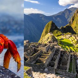 BeyondJusTravel - Macchu Pichu