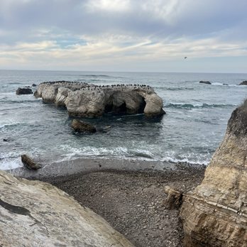 Montana de Oro State Park - Parks Near Me - Los Osos, California