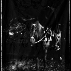Horseman's Hollow - Another picture of the iconic headless horsemen!