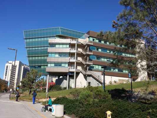 Rady School of Management by null