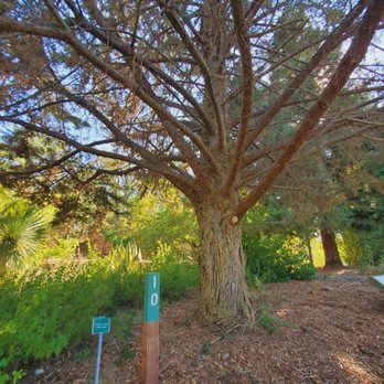 Markham Nature Park & Arboretum - Trees - Parks Near Me - Concord, California Markham Nature Park & Arboretum - Trees - Parks Near Me - Concord, California