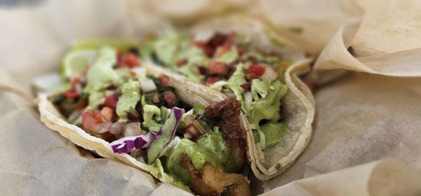 The Birds Cafe by null