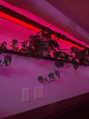 Plain Spoke Cocktail Company by null