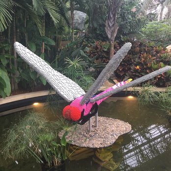 Lauritzen Gardens - Dragonfly - Venues & Event Spaces Near Me - Omaha, Nebraska Lauritzen Gardens - Dragonfly - Venues & Event Spaces Near Me - Omaha, Nebraska