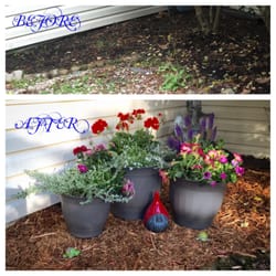 Carter's Country Corner - Thank you guys for helping me find the perfect flowers for my back yard! You're the best!