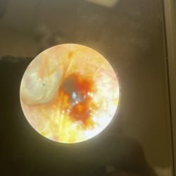 Steven Bramwit, MD