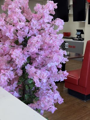 Sizzling Hut by null