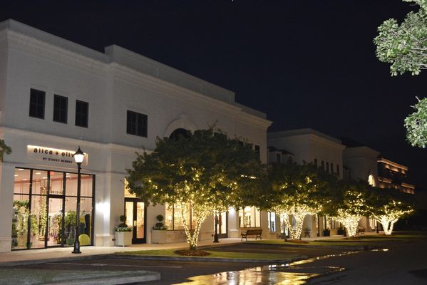 Phillips Place by null