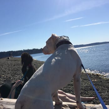 Saltar's Point Park - Parks Near Me - Steilacoom, Washington