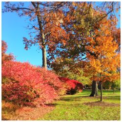 Glencoe Park