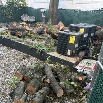 Green Care Tree Services - Tree trunks left in yard - Tree Services Near Me Green Care Tree Services - Tree trunks left in yard - Tree Services Near Me