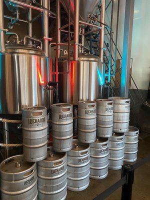 Luchador Bar+Kitchen by null