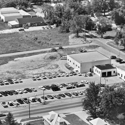 Rick Ford Sales