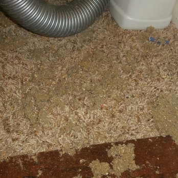 D & S Termite & Pest Control - Pest Control Near Me - Spring Valley, California