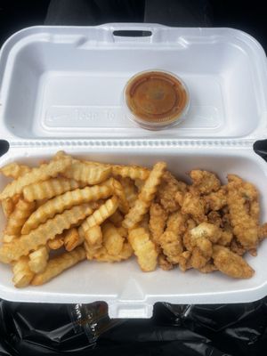 Conch Town USA by null