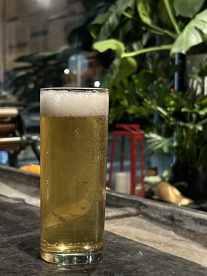 Pickerel by null