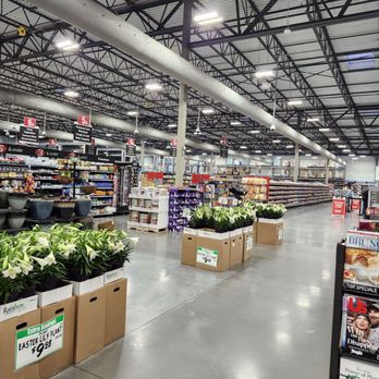 WINCO - Goodyear - Lily plants . They looked really nice too for the price. - Grocery Near Me - Goodyear, Arizona