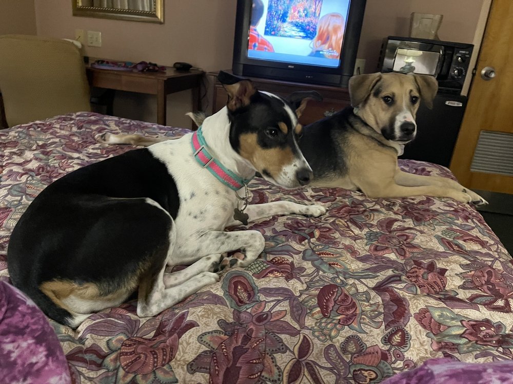 DAYS INN ELKINS Updated August 2024 1200 Harrison Avenue, Elkins