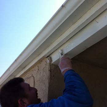 Mariners Pest Control - Actual patching of the damaged area - Pest Control Near Me - Lake Forest, California Mariners Pest Control - Actual patching of the damaged area - Pest Control Near Me - Lake Forest, California
