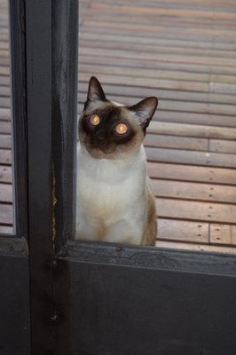 Legado Mítico Buenos Aires by null