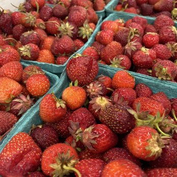 Hallowell Seafood & Produce - Summer strawberries in season - Seafood Markets Near Me - Hallowell, Maine Hallowell Seafood & Produce - Summer strawberries in season - Seafood Markets Near Me - Hallowell, Maine