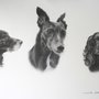 Lucinda Coldrey Fine Art