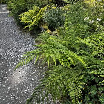 Glacier Gardens Rainforest Adventure - Botanical Gardens Near Me - Juneau, Alaska